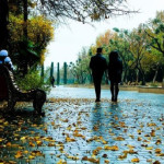 <p>Dağlıq və dağətəyi ərazilərdə qısamüddətli yağış yağıb, şimşək çaxıb - FAKTİKİ HAVA</p><p><br></p>
