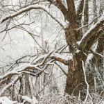 <p><b>Sabah Bakıya yağış, rayonlara qar yağacaq -<font color="#ff0000"> PROQNOZ&nbsp;</font></b></p>