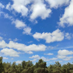 <p><b>Sabah 20 dərəcə isti olacaq -<font color="#ff0000"> PROQNOZ&nbsp;</font></b></p>