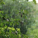 <p><b>Yağıntılı hava davam edir - <font color="#ff0000">FAKTİKİ HAVA&nbsp;</font></b></p>