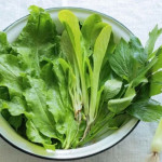 <p><b>Yanından ötüb-keçirik, amma şəfa mənbəyidir —<font color="#ff0000"> İmmuniteti gücləndirir&nbsp;</font></b></p>