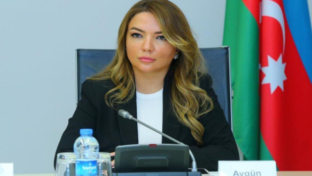 <p><b>Aygün Əliyevaya yeni vəzifə verildi&nbsp;</b></p>