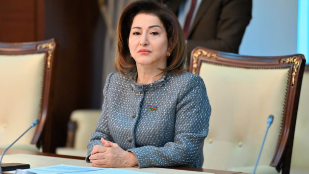 <p><b>Tamam Cəfərova:<font color="#ff0000">“Azərbaycan gəncliyi dövlətin güc mənbəyidir”</font></b></p>