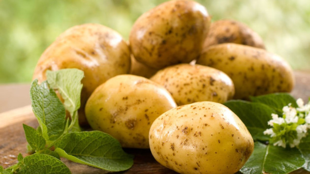 <p><b>Dünyada ən bahalı kartof növləri...&nbsp;&nbsp;</b></p>