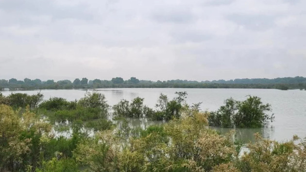 <p><b>İmişlinin 2 kəndində bəzi əkin sahələri su altında qalıb&nbsp;</b></p>